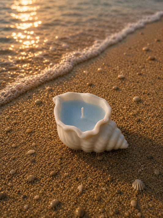 Conch Candle
